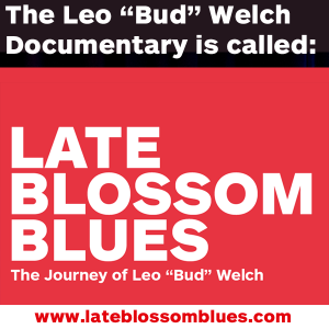 lateblossomblues